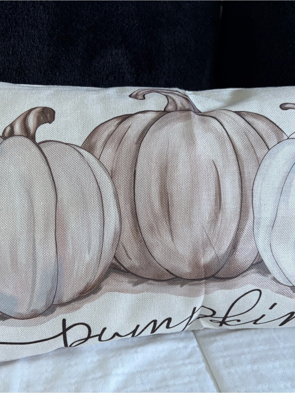 Neutral Pumpkin Printed Decorative Pillow - Home Accents
